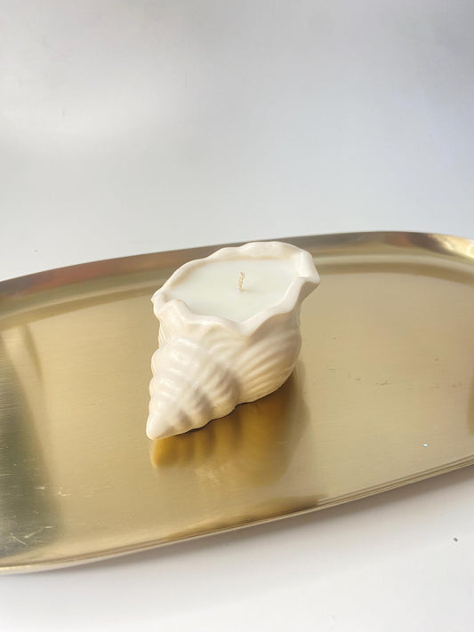 Wunderschöne Muschelkerze , Sojawachs, Handgegossen in  Jesin  / Duft Pfingstrose & Rotes Wildleder